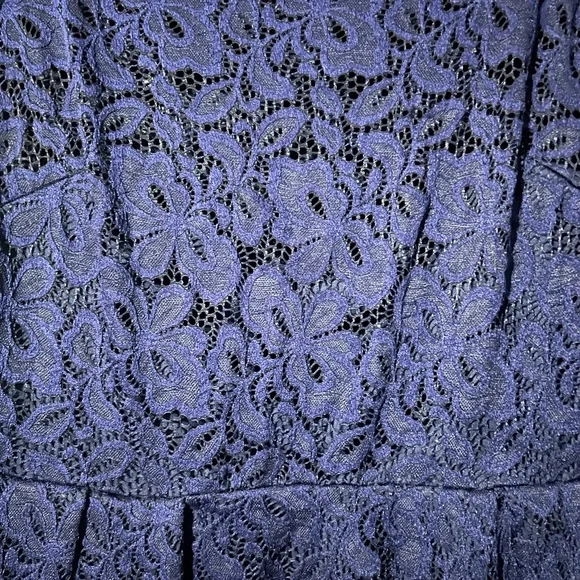 Elegant Navy Lace Dress - Picture 3 of 5
